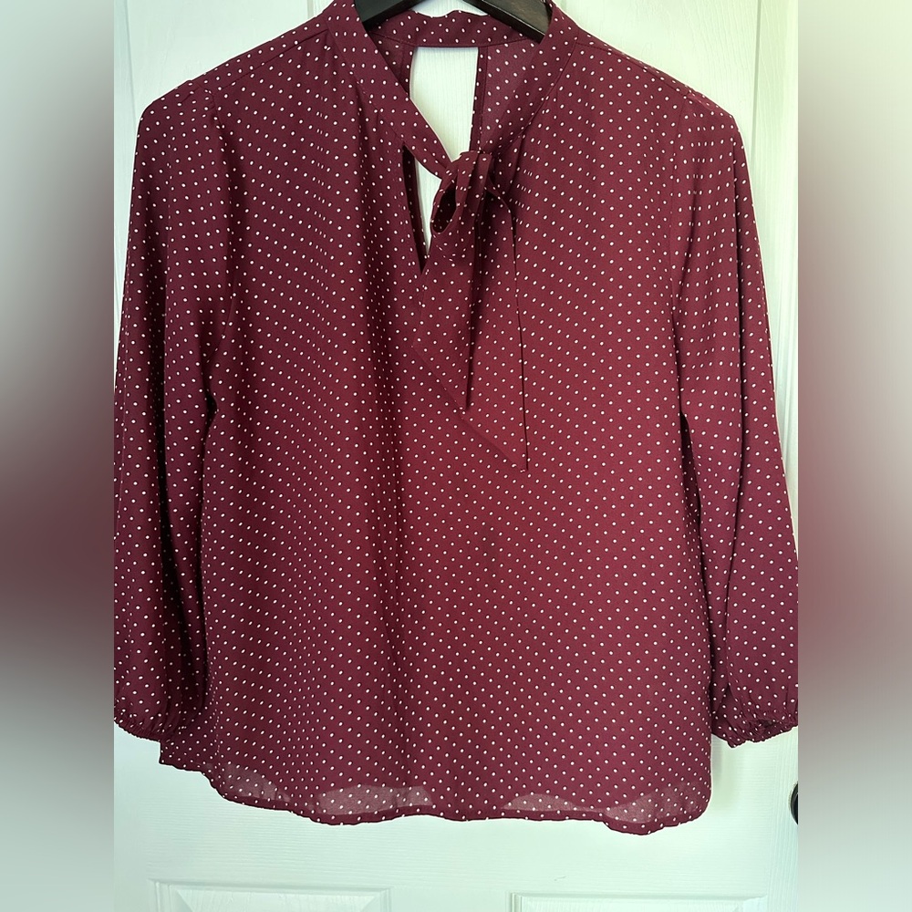Maroon polka dot blouse